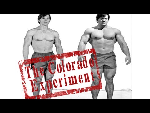 The Colorado Experiment - How Casey Viator Gained 63 Pounds of Muscle in 28 Days