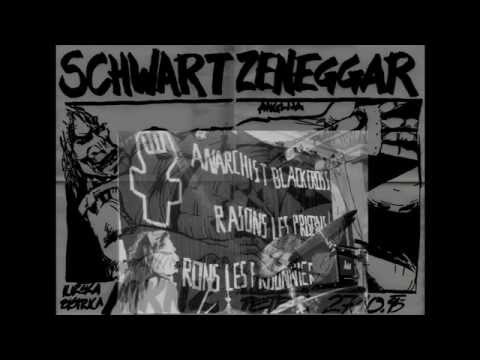 SCHWARTZENEGGAR - I WANT MY LIFE - LIVE - MKNZ - ILIRSKA BISTRICA - SLOVENIA - 27/10/1995