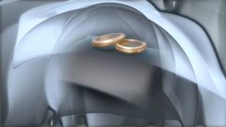 Background - Wedding 13