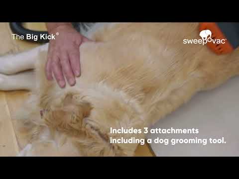 KICK VAC l'aspirateur qui s'encastre dans une plinthe ou un meuble | QAMA Quincaillerie