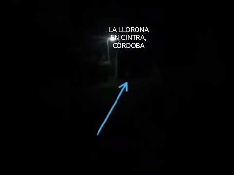 la llorona vista en cintra, Córdoba, Argentina 🇦🇷