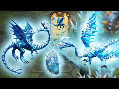 FROSTUP - Max Level 180 — New Premium Windstriker Showcase | Dragons: Rise of Berk