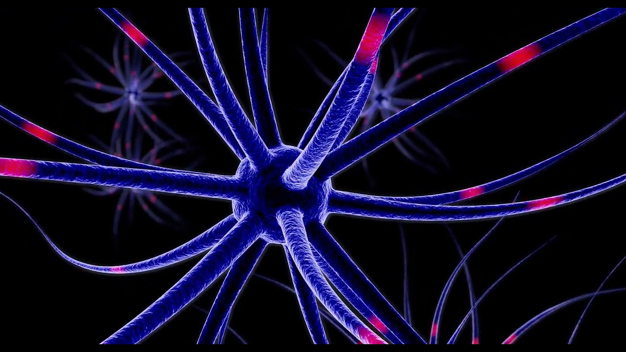 Neuron Brain Mind Stock Video