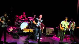 The Felice Brothers - Cherry Licorice (Live)