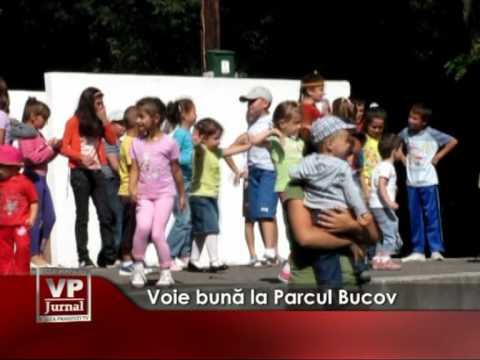 Voie buna la parcul Bucov