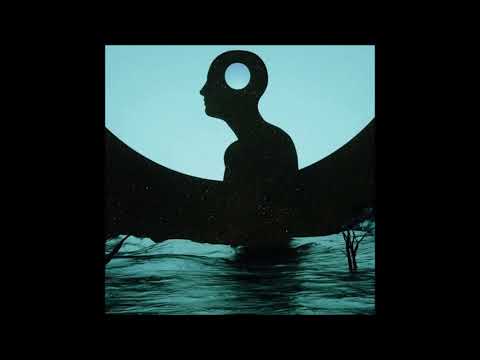 Damian Lazarus & The Ancient Moons Feat. Afronaut Zu - Fly Away (Dennis Ferrer Remix)