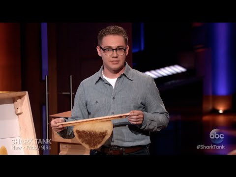 Bee Thinking Shark Tank Pitch