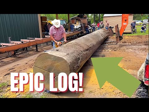 EPIC GIANT Sinker Cypress Log Pulled From River Bottom On The Sawmill! 38Foot Long!