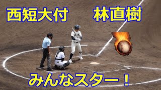 動画を再生