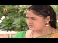 Maa Inti Aadapaduchu Serial Episode 337
