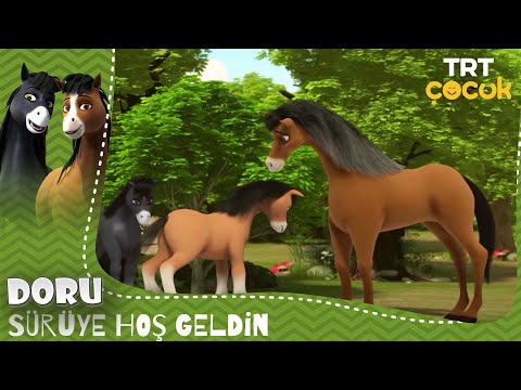 Doru | Sürüye Hoş Geldin | 31.Bölüm