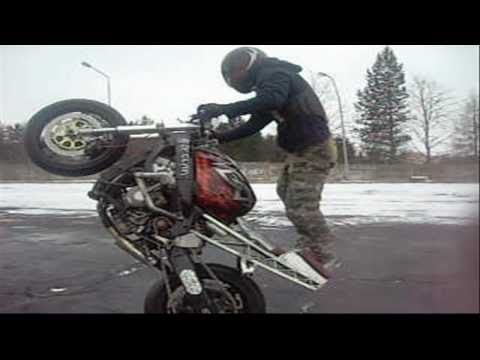 Korzeń Winter Session