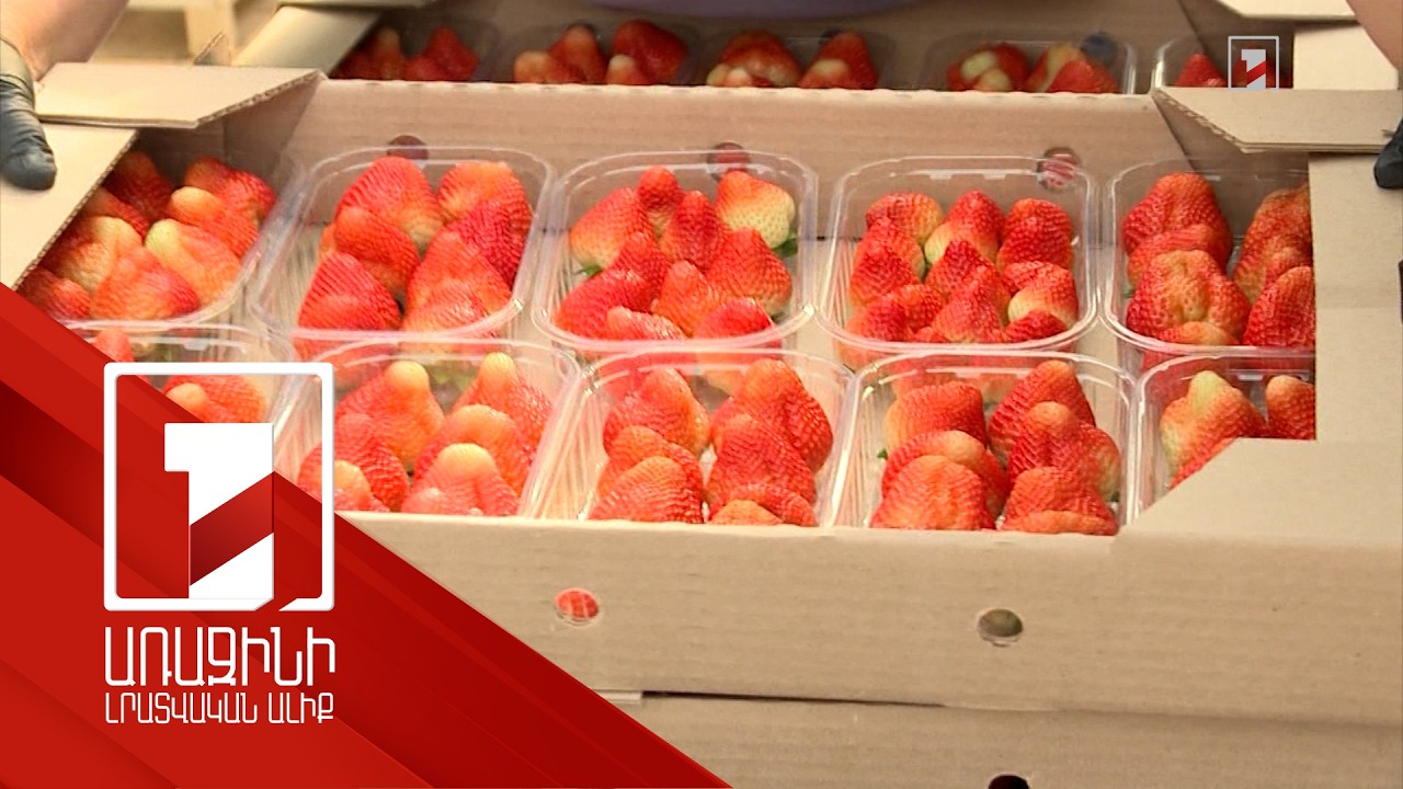 7 ամսում հայկական բիզնեսը ԵՄ է արտահանել 591 մլն դոլարի ապրանք. 1-ին տեղում Բուլղարիան է
