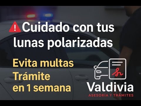 Video explicativo