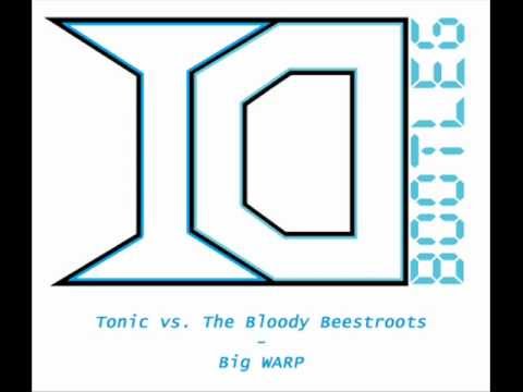 Tonic vs. The Bloody Beestroots - Big WARP (ID Bootleg)