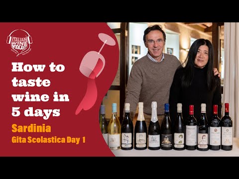 How to taste wine in 5 days -  Sardinia Gita Scolastica Pt. 1 - Travel On The Road with Stevie Kim!