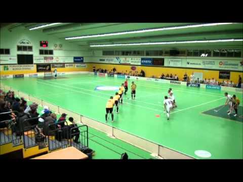 Maalikooste PSS vs  Steelers