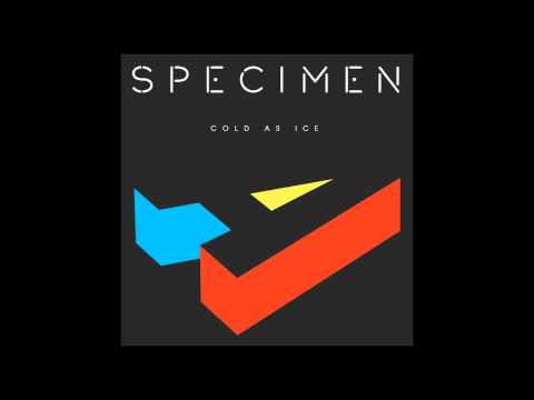 Specimen A - Cold As Ice [Free Download - Full HD Version]