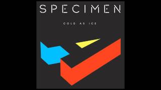 Specimen A - Cold As Ice [Free Download - Full HD Version]