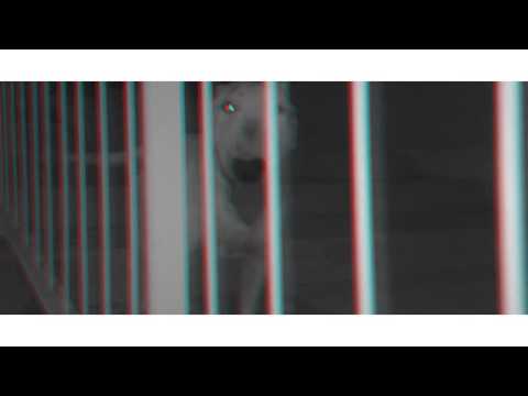 S.VICO + Y.FRESH // M.B.B.P