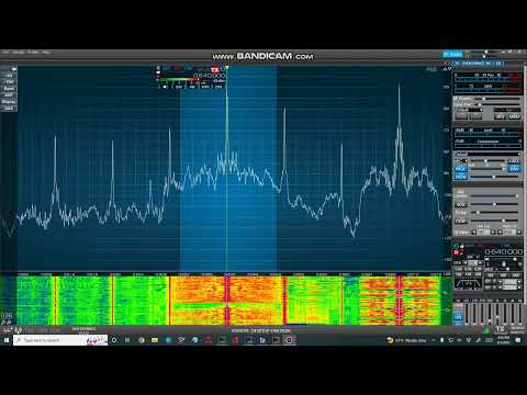 WMFN 640 AM Peotone, IL Legal ID - Sept. 2022