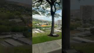 #cruise #adventure #funtimes #vacation #travel #travelphotography #vlog #blog #cruiseadventure