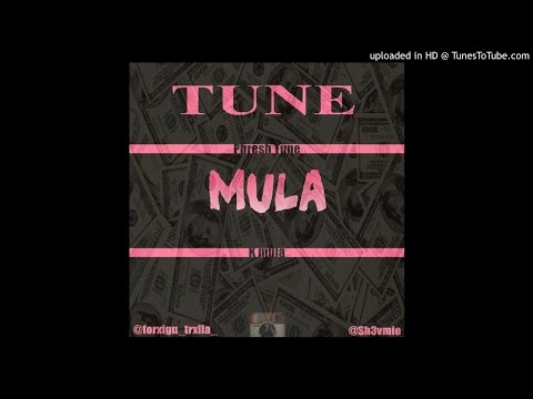 T~M. Tune Mula - Bitch Betta Have My Money Mix (GotDamnit 2.5)