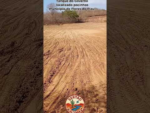 Tanque do Governo Localidade pocinho município de Flores do Piauí #açude #natureza #sertao