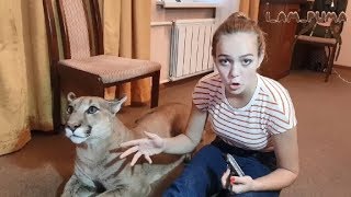 Пуматерапия - Машатерапия )))