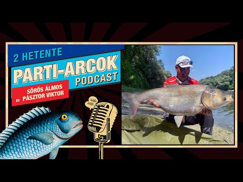 48. - Áttörés a busafronton - Vendég: Sipos Gábor | Parti-Arcok Podcast