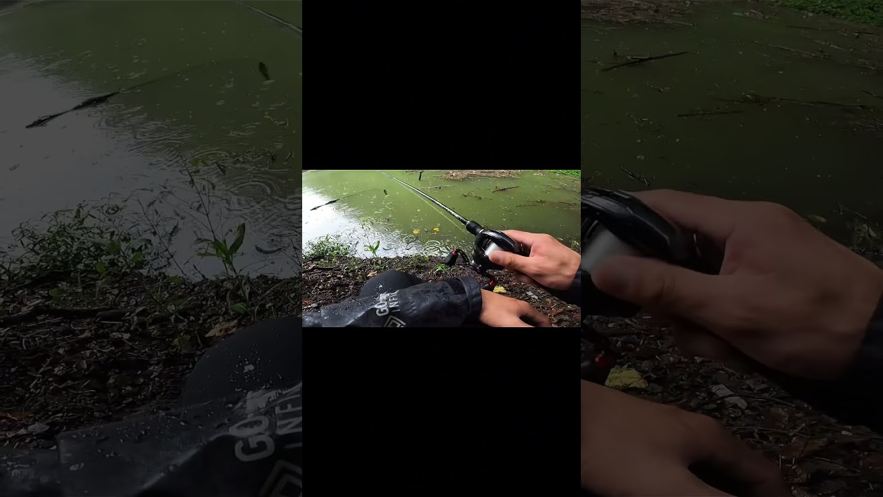 イワモト釣り具オリジナルカラー　#gancraft #ガンクラフト #ジョイクロ　#jointedclaw #イワモト釣具 #リザーバー #オリジナルカラー #バス釣り #魚釣り