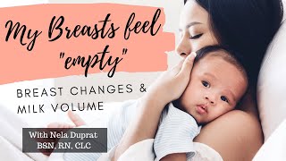 My Breasts Feel “Empty”- Breast Changes and Milk Volume