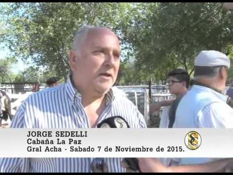 07-11-15 Nota Jorge Sedelli - Huellas Prod- N.H. Fuentes - Gral Acha.