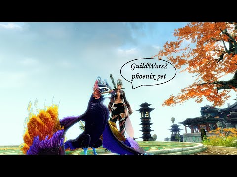 GuildWars2 Phoenix Pet GUIDE (End of Dragons)
