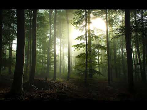 Relaxation Music - The Heart Of Reiki