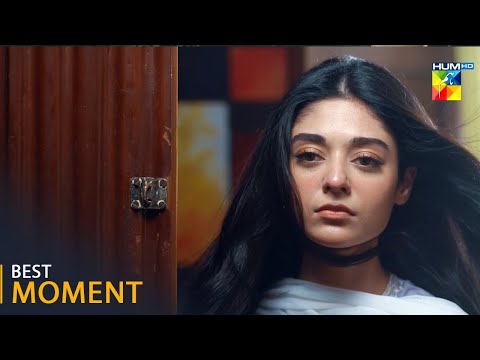 Mere Damad Episode 01 - [ 𝐁𝐞𝐬𝐭 𝐌𝐨𝐦𝐞𝐧𝐭 01 ] - #noorzafarkhan  #humayunashraf - HUM TV