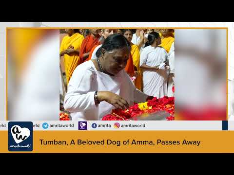 Tumban, A Beloved Dog of Amma, Passes Away