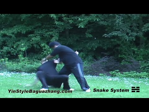 A Brief Introduction to Yin Style Bagua