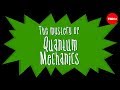 Particles and waves: The central mystery of quantum mechanics - Chad Orzel