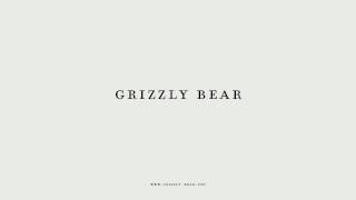 Grizzly Bear - Sleeping Ute