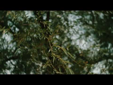 Willow Teaser Trailer