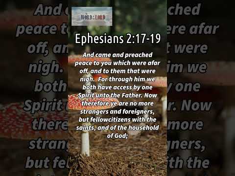 Daily Bible Verse: Ephesians 2:17-19 #wordsofjesuseachday #bibleverse #wordfortoday    #faithjourney