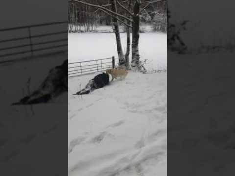 (K)ein ganz normaler Sonntagsspaziergang!!