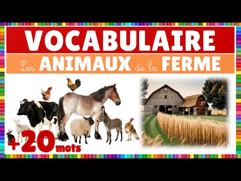 Vidéo 2