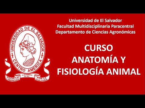 08 Principios de embriología 01