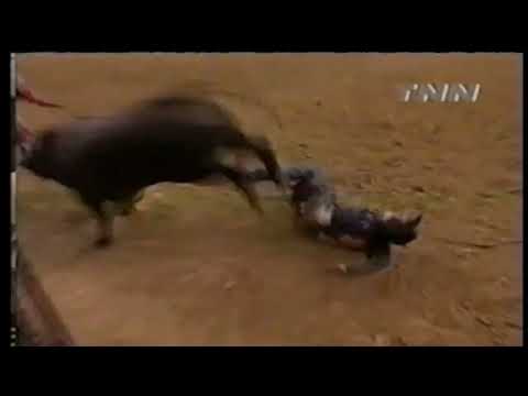 PBR 2000: Moody Blues Steps on Spud Whitman