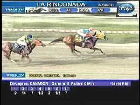 Resumen Domingo, 24 de Abril de 2011 - La Rinconada