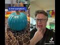 Perry The Platy Pumpkin