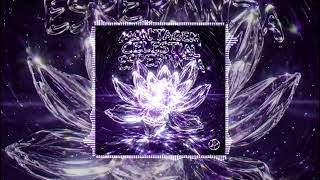 Cover art for Montagem Celestial Esperanza