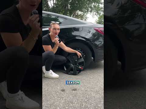 Alpena Automotive Wheel Covers